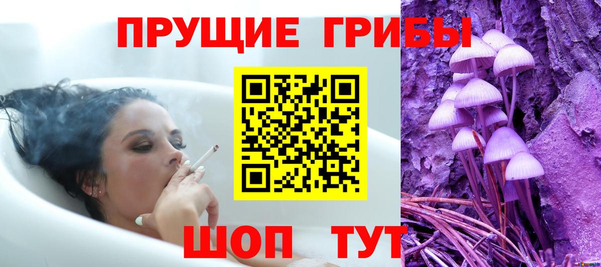 Галлюциногенные грибы Magic Shrooms  Вход с VPN  Карабулак 