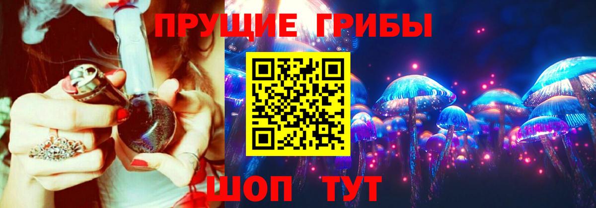 Галлюциногенные грибы Psilocybine cubensis Карабулак
